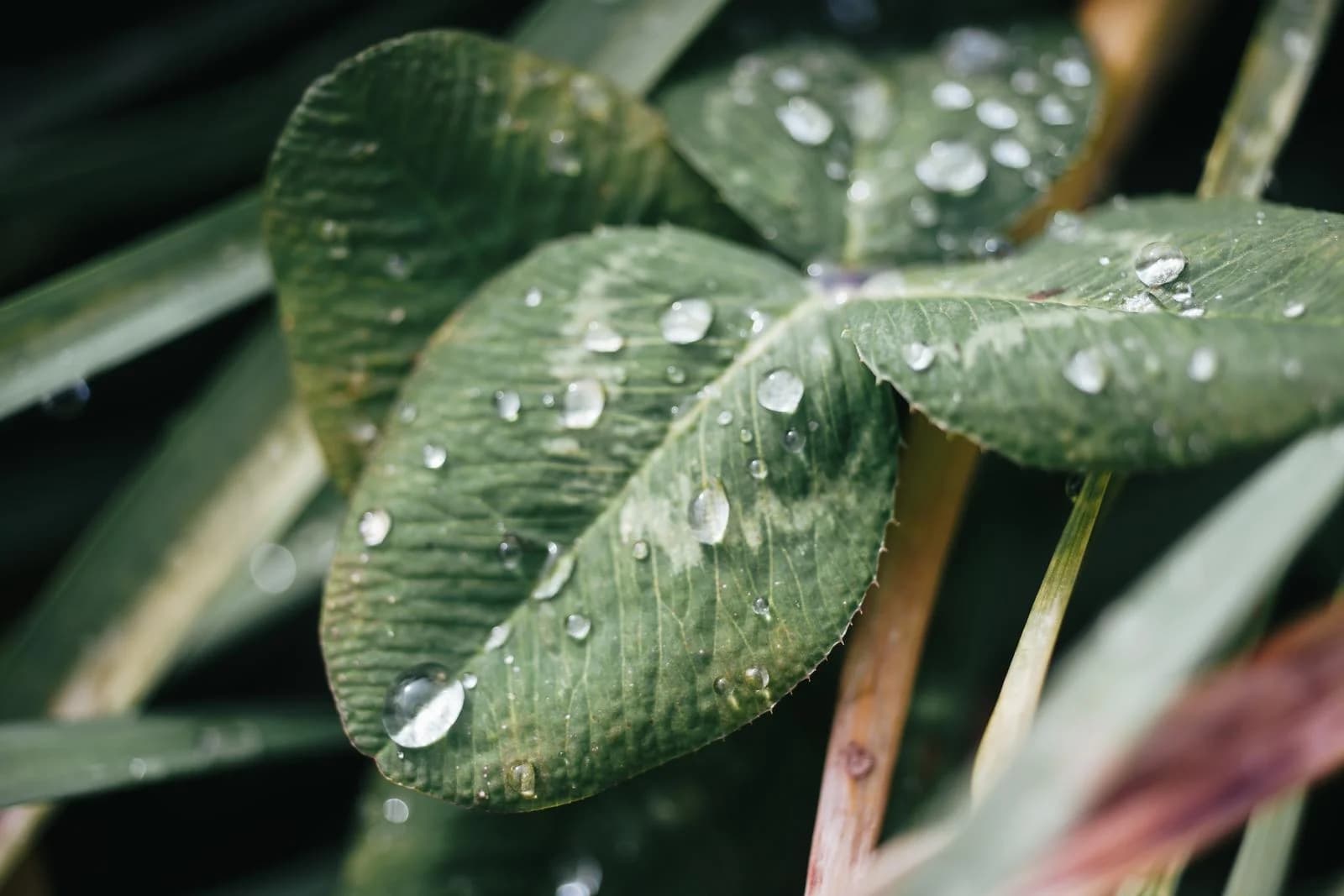 雨の日でも楽しめる！室内謎解き・脱出ゲームガイド
